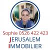 Agent: Sophie Avnon