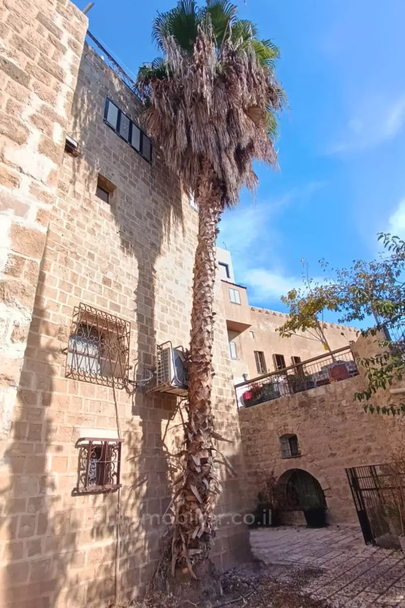 Cottage 3 rooms Tel Aviv Old Yaffo 651-IBL-75