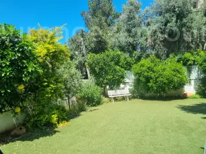 Purchase Ground floor Raanana