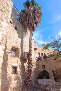 Cabaña 3 habitaciones Tel Aviv Ciudad antigua Jaffa