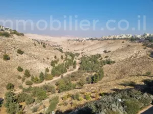 דופלקס 6 חדרים מעלה אדומים 03