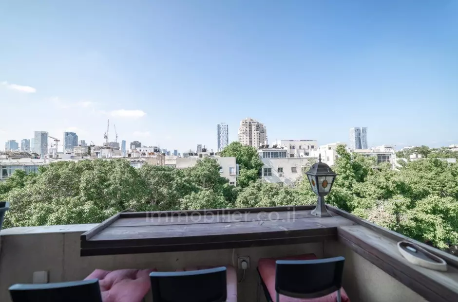 דופלקס 3 חדרים תל אביב הצפון הישן 457-IBL-1093