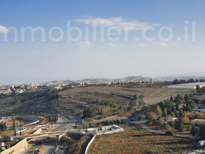 מכירה דירה ירושלים
