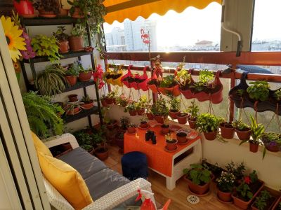 דירה מול הים למכירה באשדוד