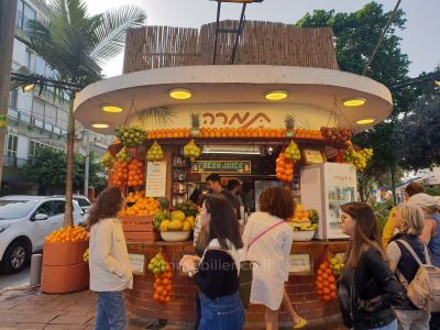 with terrace,Calm, Near to the sea,With not missing!,Well arranged,Clear,Roomy,Splendid,Renovated