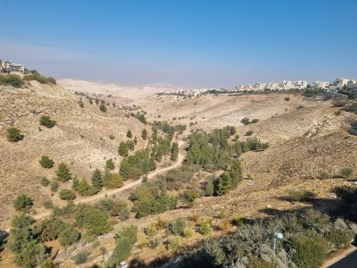 Duplex to sale in Maale Adumim