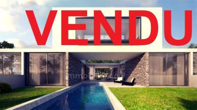 שקטה,מושקעת,מיקום מצויין,קומה גבוהה עם נוף,גדולה,סטנדרטים גבוהים,דירת יוקרה,קרוב לים,עם נוף לים,לא להחמיץ!,נעימה,מסודרת,מוארת,מרווחת,מציאה,כיווינם טובים,במצב טוב,גינה גדולה,תקרה גבוהה,מפוארת,פרוייקט איכותי