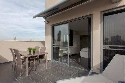 Luxueux penthouse 3 ieces avec terrasse