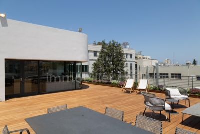 Beautifull Penthouse in a preserved building