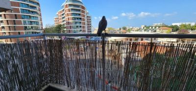 Immeuble Neuf - Florentine - 2 Pièces