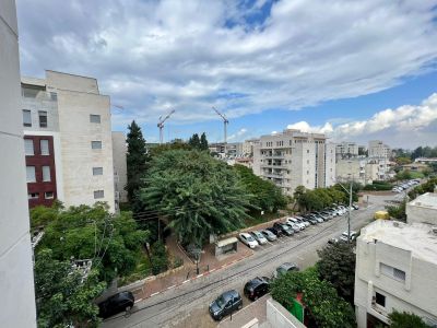 Não perca!,Bom negócio,calmo,Grande,novo