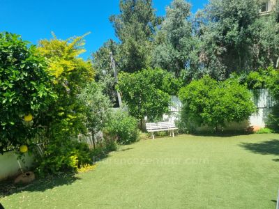 Very rare. A truly large garden of 220 m2 in the city center