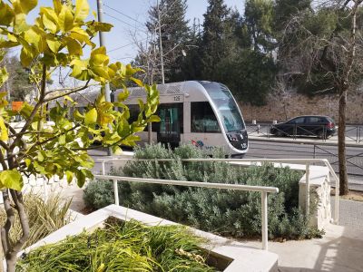 A little piece of paradise close to the tram and shops