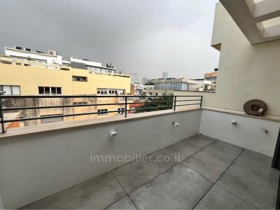 Lindo apartamento duplex de 3 quartos, novo em Lev Hair. Muito tranquilo e cheio de luz.