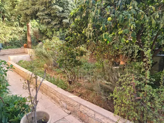 Livello del giardino 4.5 stanze Gerusalemme Baka