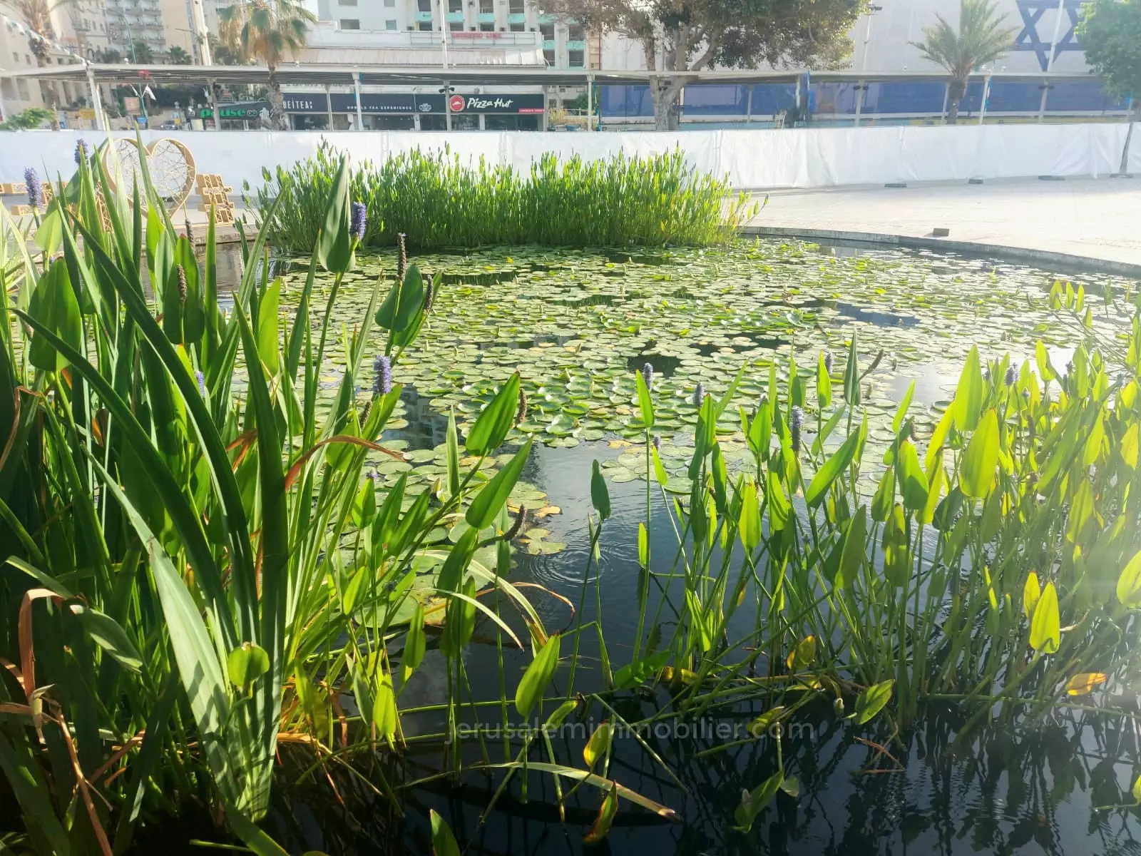 Appartamento 4 stanze Netanya Kikar 226-IBL-1896