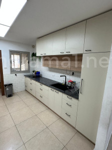 Vendita Livello del giardino Ascalona