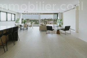 Vendita Duplex-attico Gerusalemme