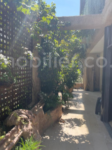 Affitto  Gerusalemme