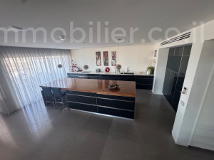 Affitto Duplex Herzliya