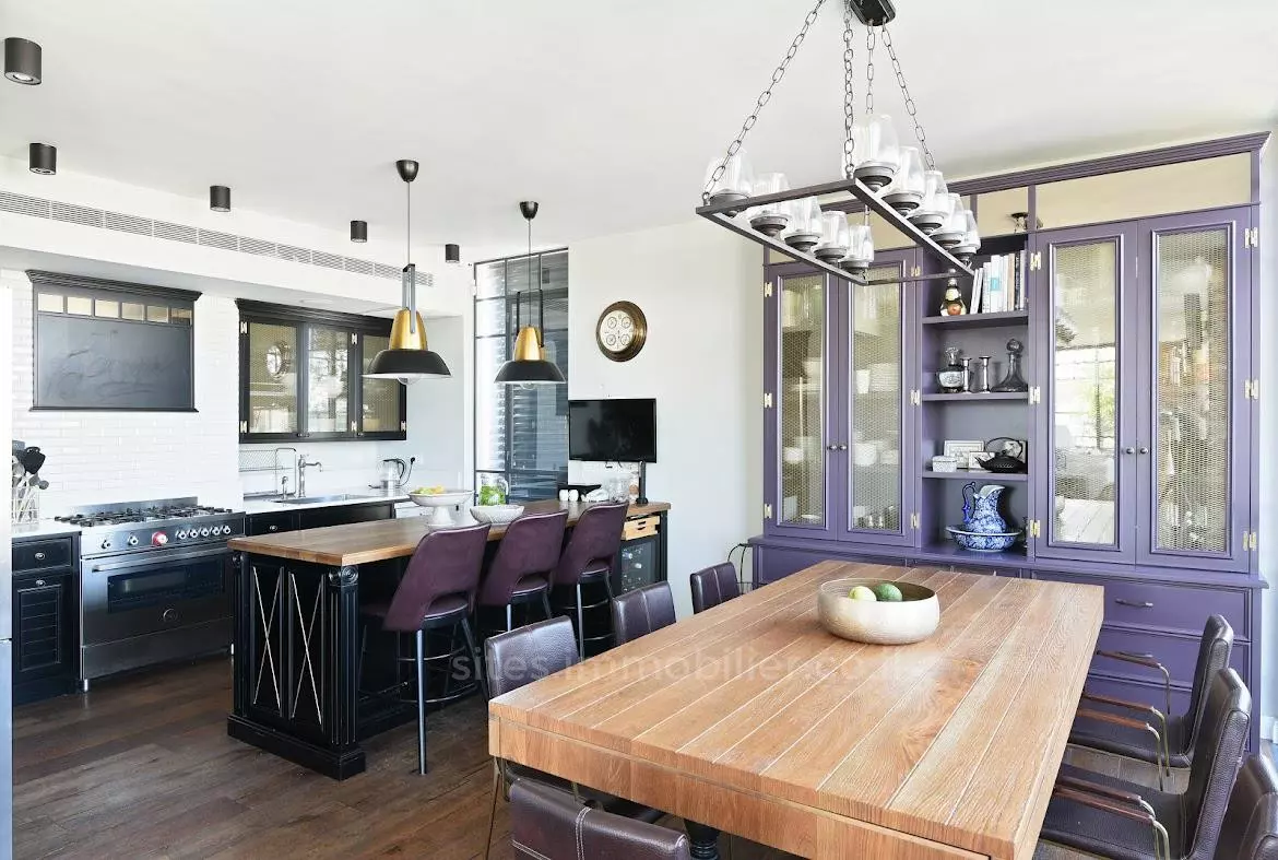 Duplex-attico 5 stanze Tel Aviv Centro della città 457-IBL-1242