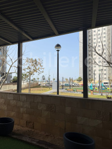 Vendita Livello del giardino Ascalona