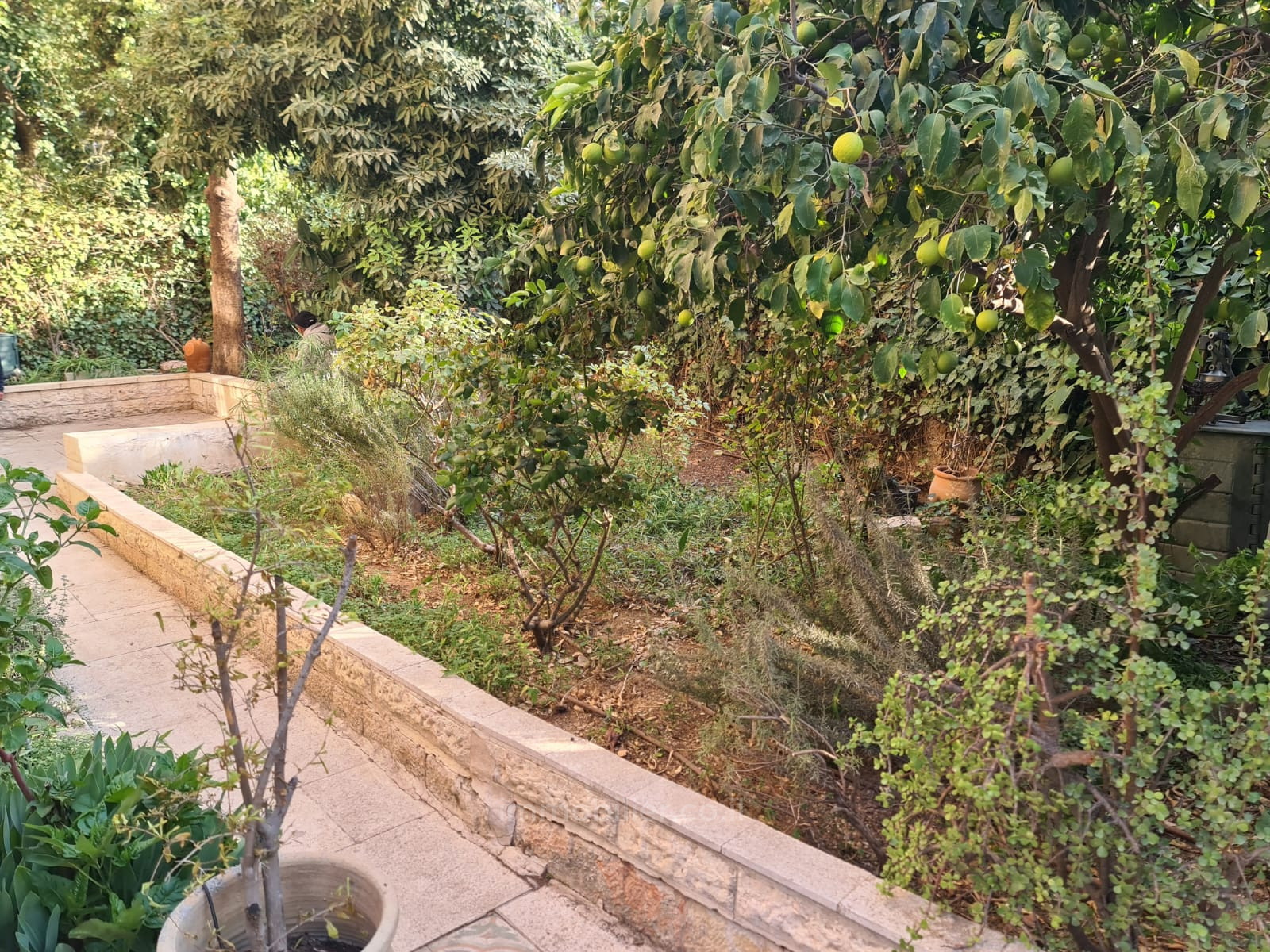 Livello del giardino 4.5 vani Gerusalemme Baka 1-IBL-2814