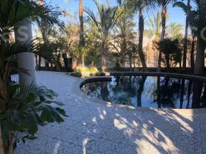 Cottage 5 rooms Eilat Aquarelle