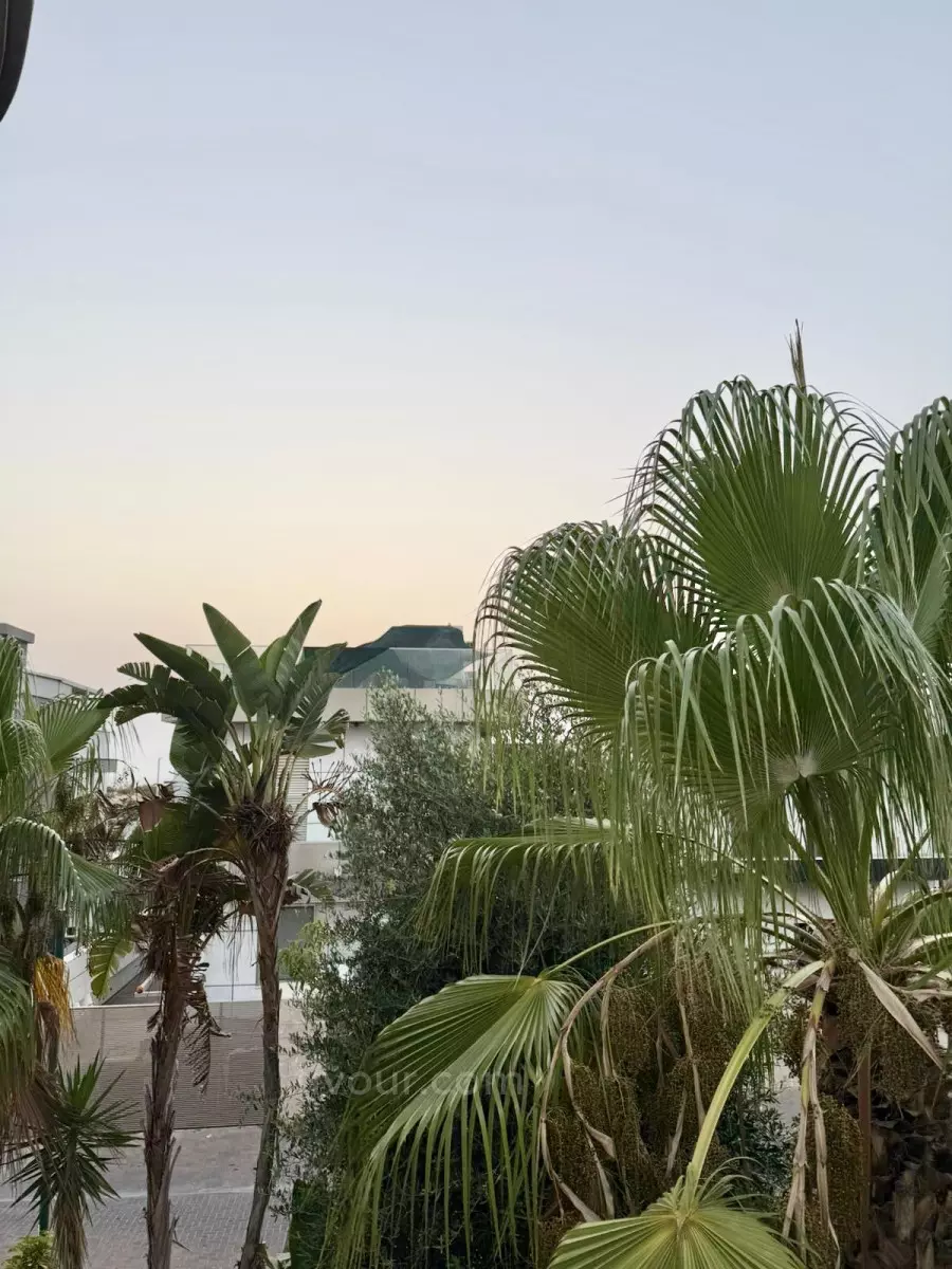 Вилла 8 комнат Ashdod Yud Zayin 210-IBL-2108