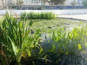 Квартира 4 комнат Netanya Kikar