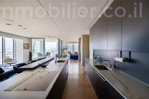 פנטהאוז 4.5 חדרים תל אביב מרכז העיר