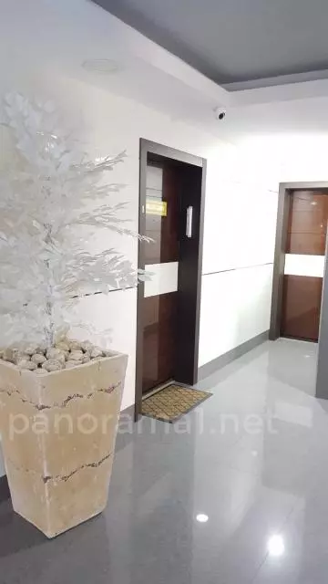 Apartment 5 rooms Ashkelon Afridar