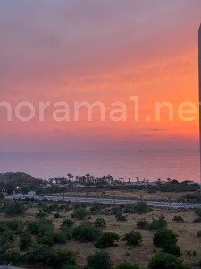 מכירה דירה אשקלון