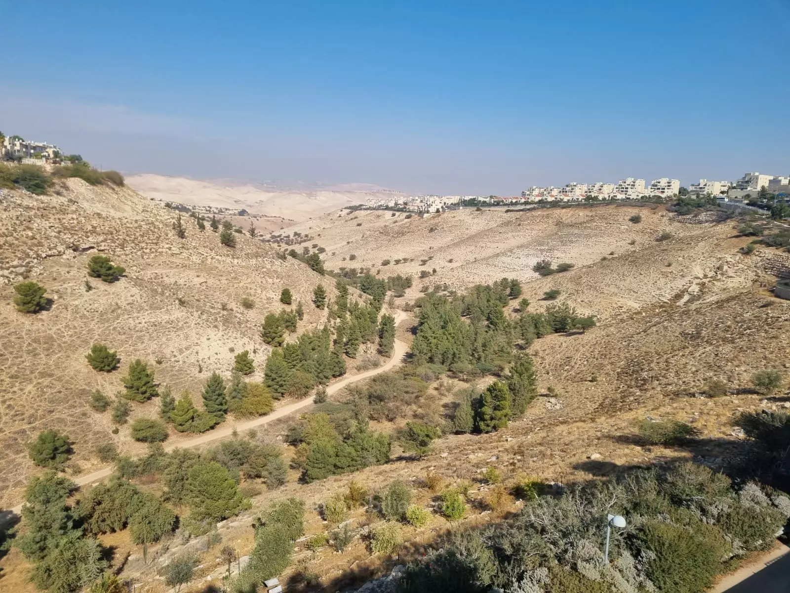 דופלקס 6 חדרים מעלה אדומים 03 245-IBL-1908