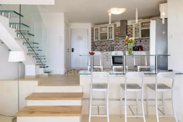 דופלקס-פנטהאוז 4 חדרים הרצליה הרצליה פיתוח