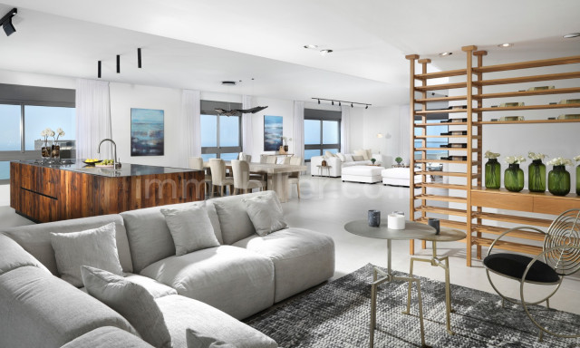 Purchase Penthouse Netanya