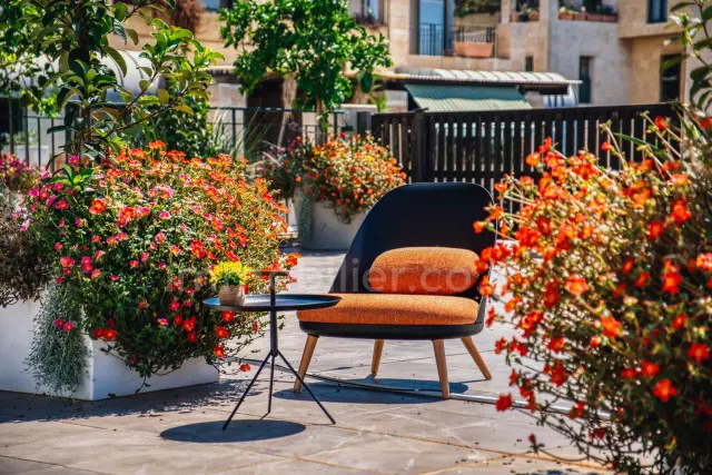 Duplex 3 stanze Tel Aviv Yafo centro storico