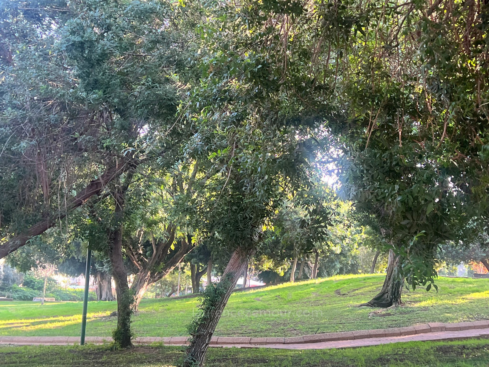 Residential quarter Affaire prevoir renovation complete superbe location