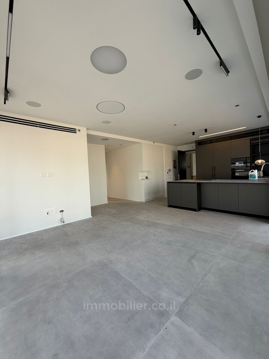Wohnquartier A louer penthouse au coeur de neve tzedek