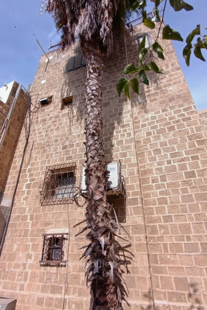 Wohnquartier Maison de ville unique avec vue sur mer nichee dans les ruelles du vieux jaffa