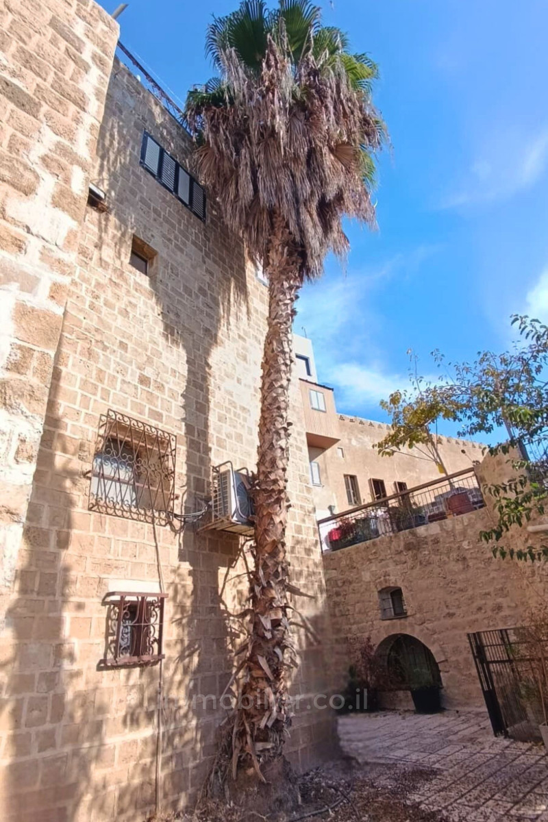 Wohnquartier Maison de ville unique avec vue sur mer nichee dans les ruelles du vieux jaffa