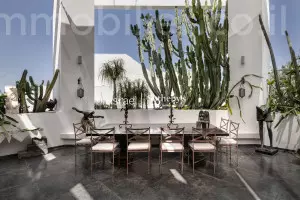 דופלקס 4 חדרים תל אביב המשתלה