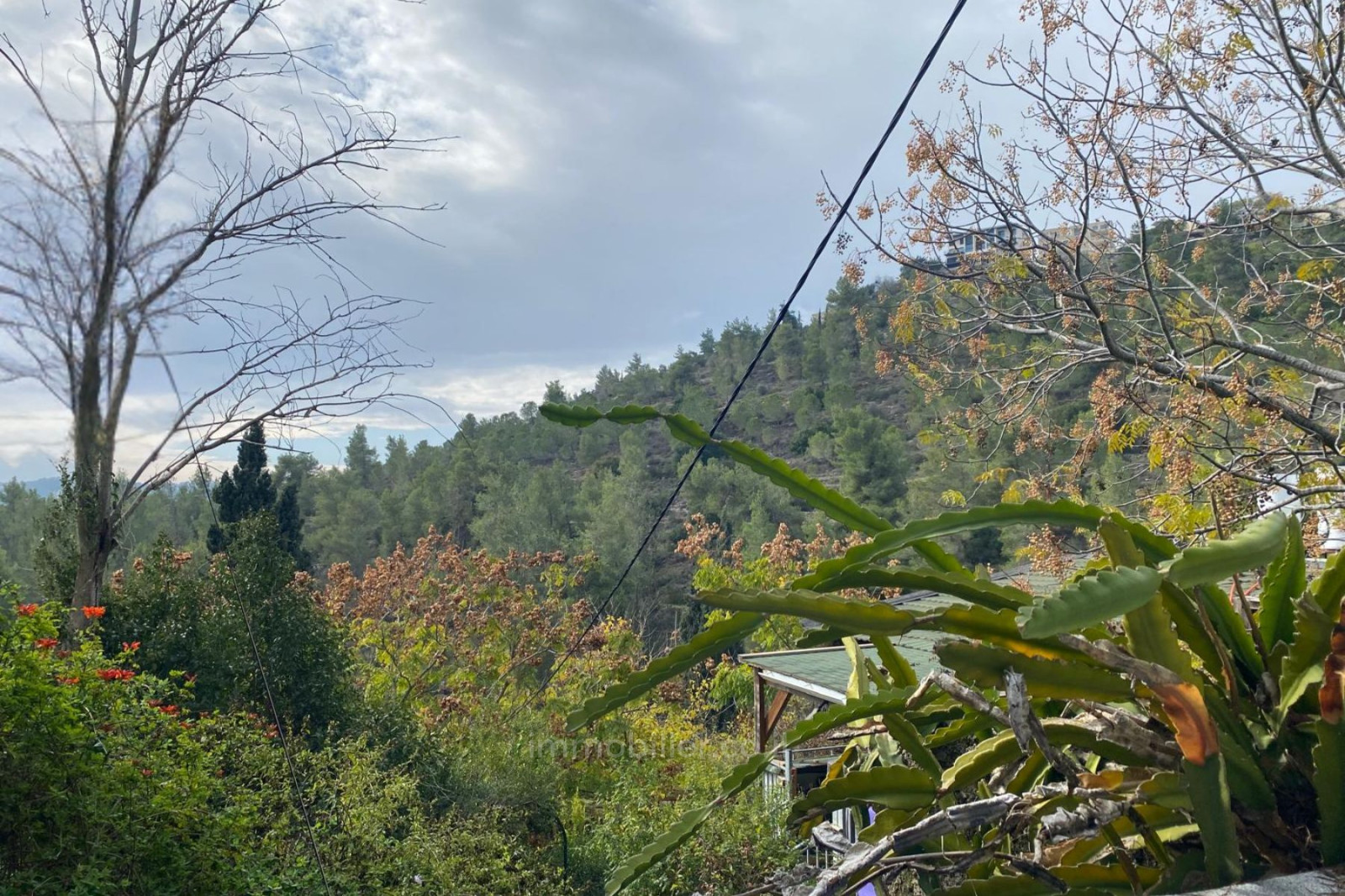 Wohnviertel Terrain a vendre dans un emplacement ideal