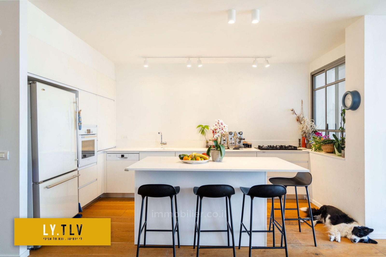 Quartier résidentiel Superbe 4 pieces renove architecturellement a deux pas du parc dans un immeuble avec parking