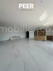 פנטהאוז 4 חדרים תל אביב בבלי