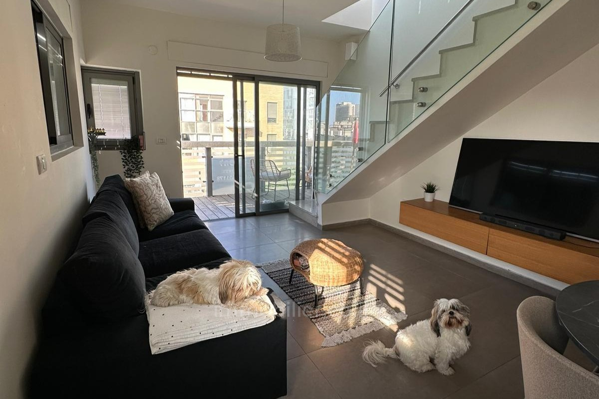 Wohnviertel A vendre duplex rooftop dexception tel aviv rue dizengoff