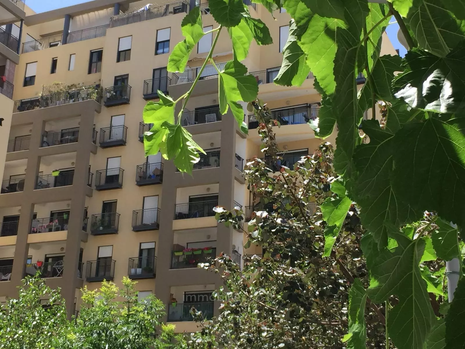 Дуплекс 4 комнат Tel Aviv Florentine 828-IBL-14