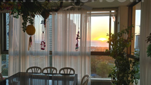 Achat Appartement Bat yam