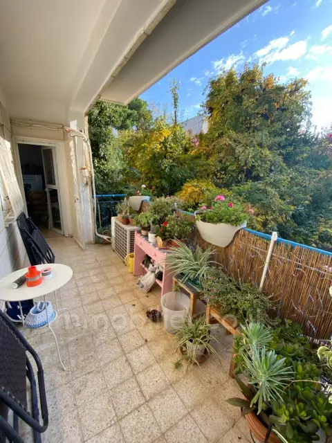 Venda Apartamento Jerusalém