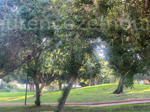 Venda Casa de campo Raanana